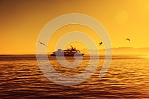 Silhouette of a ferry boat at sunset and seagulls fly around. Be