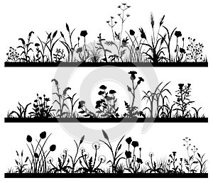 Silhouette of Field flowers and garden grass landscape set, butterfly