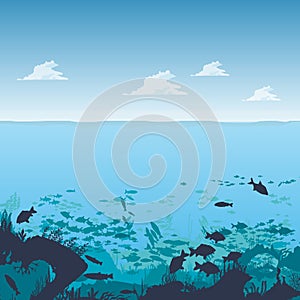 Silhouette of fish and algae on the background of reefs. Underwater ocean scene. Deep blue water, coral reef and underwater plants