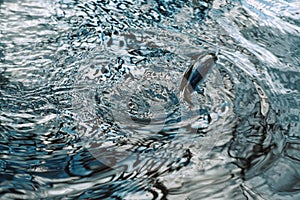 Silhouette of fish on the background of the mirror surface of the water