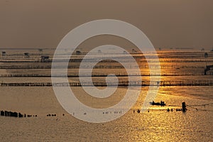 Silhouette of fisherman at oyster farm on sunrise background in Bang Taboon, Thailand