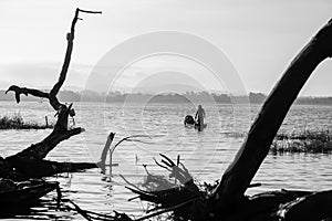 Silhouette fisherman on wooden boat. Black and white color