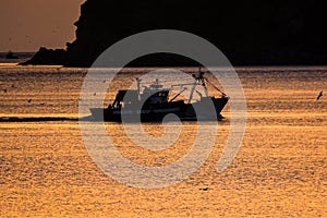 Silhouette of fishermen boat on Mediterranean Sea during sunrise in golden sun rays in MDiq, Morocco