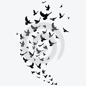 Silhouette of a flock of birds. Black contours of flying birds. Flying pigeons. Tattoo.