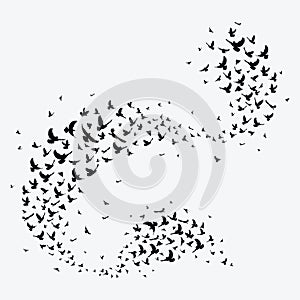 Silhouette of a flock of birds. Black contours of flying birds. Flying pigeons. Tattoo.