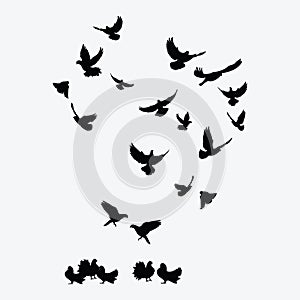 Silhouette of a flock of birds. Black contours of flying birds. Flying pigeons. Tattoo.