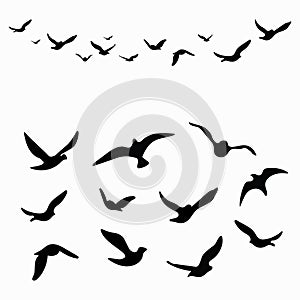 Silhouette of a flock of birds. Black contours of flying birds. Flying pigeons. Tattoo. Isolated objects on white