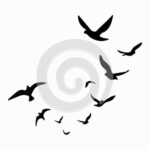 Silhouette of a flock of birds. Black contours of flying birds. Flying pigeons. Tattoo. Isolated objects on white