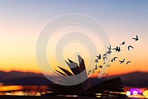 Silhouette of a flock of birds burst out of a book at sunset with the mountains in the backround.