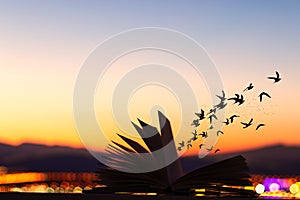 Silhouette of a flock of birds burst out of a book at sunset with the mountains in the backround. photo