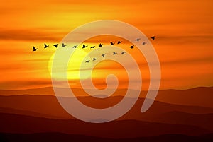 Silhouette of flock of birds gracefully soaring against the backdrop of fiery red sunset sky