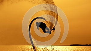 The silhouette of a flyboarder against the sun and the sunset sky. The athlete performs flips and other tricks over the