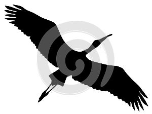 Silhouette of flying stork