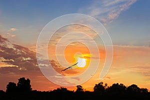 Silhouette of a flying stork against of a sunset