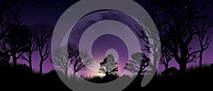 Silhouette forest with galaxy background