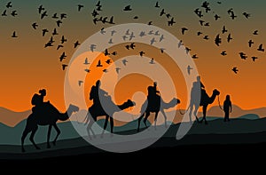 Silhouette of four camel riders. Up hill with sunset background