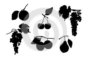 Silhouette of fruits