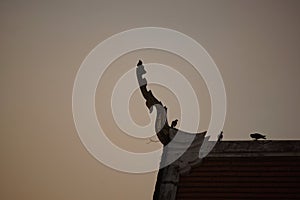 Silhouette of gable in thai temple.