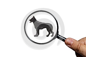 Silhouette of german shepherd dog on white background