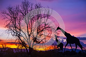 Silhouette giraffe and tree on beautiful sunset