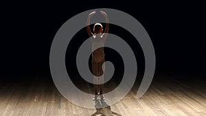 Silhouette of girl ballerina on stage in darkness.