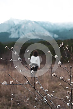 Silhouette of a girl in defocus on a dry plan dry plants