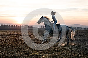 Silhouette of a girl and a horse at sunset, rushing over the field