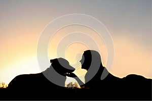 Silhouette of Girl Laying in the Grass with Her Do