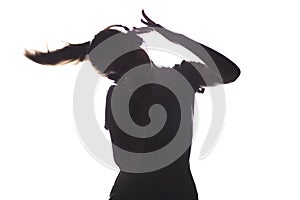 Silhouette of a girl listening to music in headphones, young woman relaxing on a white isolated background, concept of hobby and l