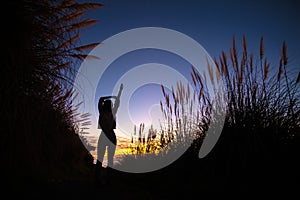 Silhouette of girl posing and stretching around vibrant natural background