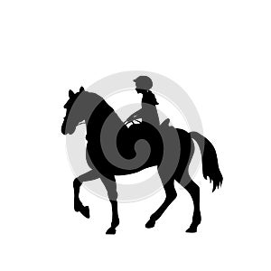 Silhouette girl rider horseback equitation