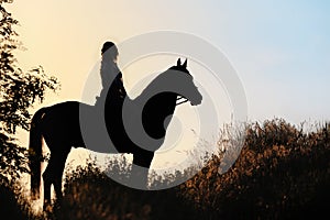 Silhouette of a girl riding a horse at the sunset