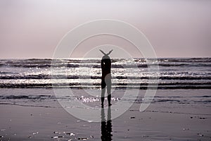 Silhouette of a girl standing in an ocean waves with hands up forming bird wings