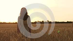 Silhouette of a girl walking among ripe wheat in a field at sunset. Freedom, inspiration.