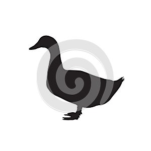 Silhouette goose icon