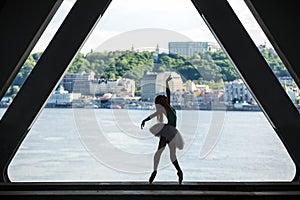 Silhouette of graceful ballerina in white tutu