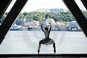 Silhouette of graceful ballerina in white tutu