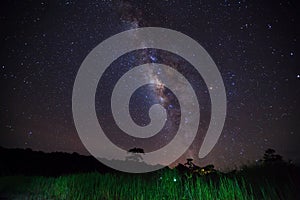 Silhouette of grass with cloud and Milky Way. Long exposure phot