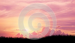 Silhouette grass in Pink purple sky cloud background