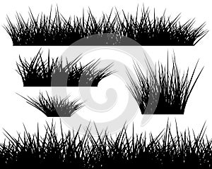 Silhouette of grass on white background