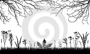 Silhouette of grassland, wild weeds and grass, bare branches trees. Vector illustration. Applied clipping mask
