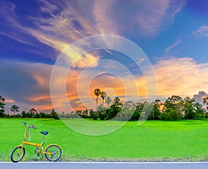 Silhouette of green paddy rice field with the bicycle, the beautiful sky, and cloud in the evening in Thailand