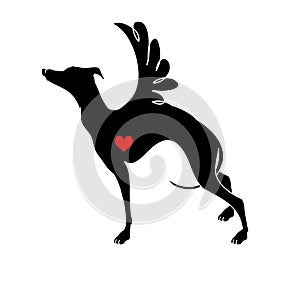 Silhouette of a Greyhound with wings and a heart. Decorative element, pattern for Valentine`s day. Vector illustration