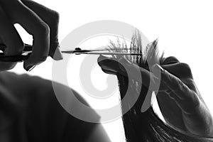 Silhouette hairdresser cutting a client