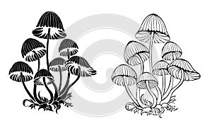 Silhouette hallucinogenic mushrooms on white background