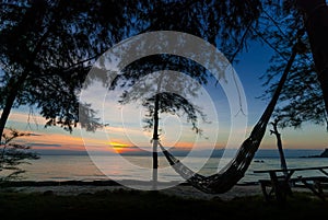 Silhouette of hammock