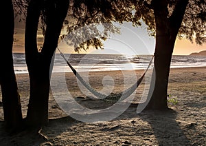 Silhouette of hammock and tree at the beach