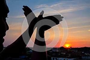 Silhouette of a hand gesture like bird flying