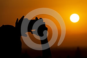 Silhouette of hands holding a mobile phone and making photography of the huge sun during sunset or sunrise