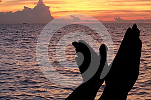 Silhouette of hands like bird on beach dramatic in the evening